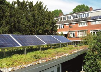 Groene daken krijgen subsidie in gemeente Bloemendaal: “Het geeft enorme isolatiewaarde”