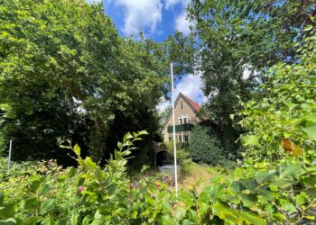 Bennebroekers vrezen vernietiging groene wijk door megavilla: “Ambtenaren drukken bouwplan door”