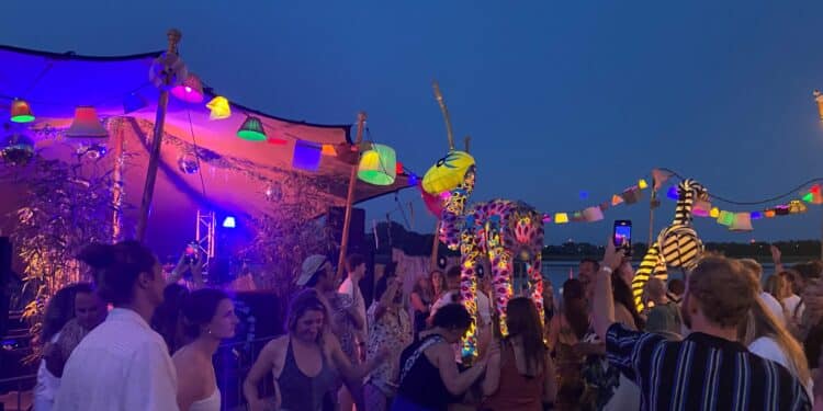 Veerplas Lichtgevende dieren Veerplas Lichtgevende dieren