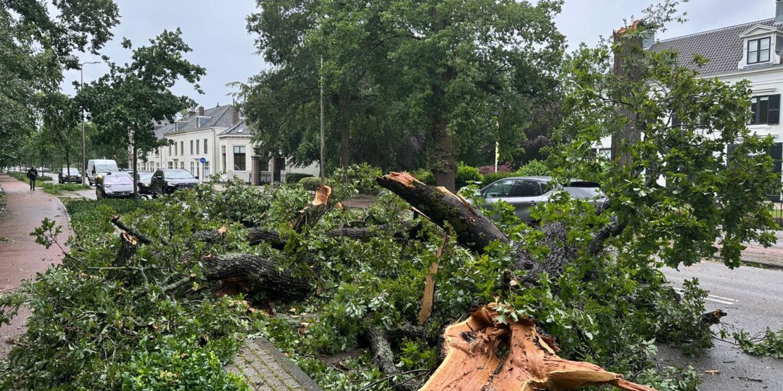 Overzicht storm Poly: één dodelijk slachtoffer, veel omgewaaide bomen, huizen en auto’s beschadigd