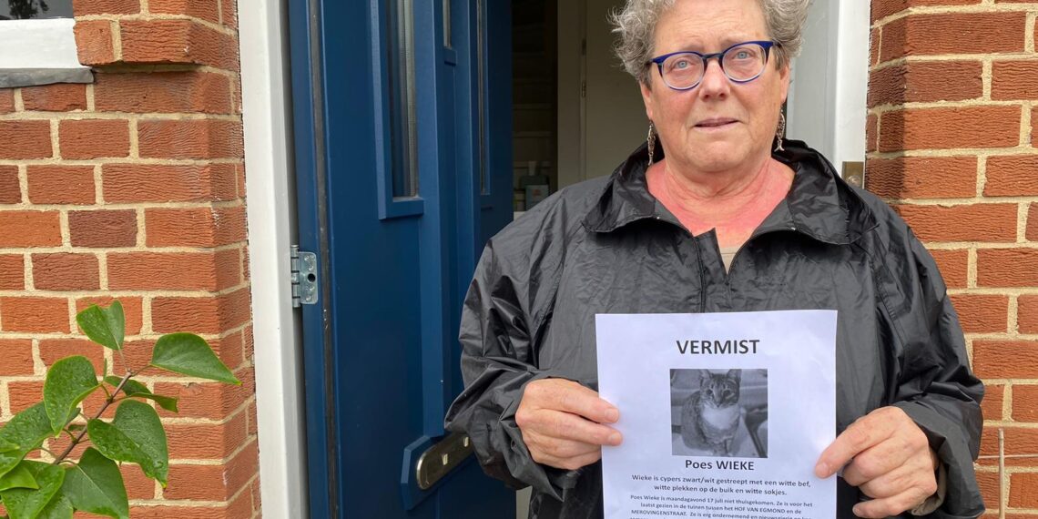 Is er een kattenhater actief in Haarlem? Poes Wieke doorboord met pijl