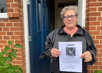 Is er een kattenhater actief in Haarlem? Poes Wieke doorboord met pijl