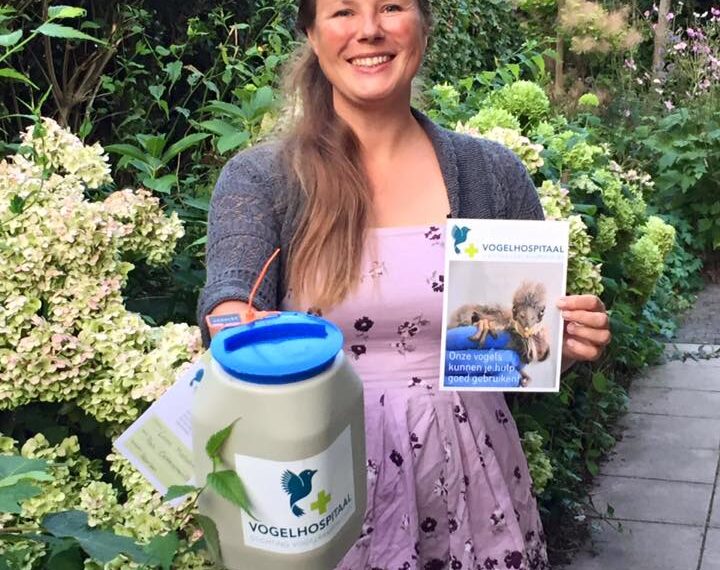 Tekort aan collectanten voor vogelhospitaal: “Iedereen is druk”