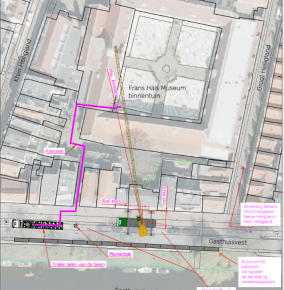 Paul Stork over de komst van de mega iep in binnentuin Frans Hals Museum: “We willen het museum nog mooier maken”