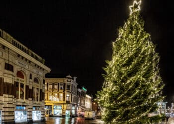 Zeventien meter hoge kerstboom prijkt weer op de Grote Markt: “Mooi moment”