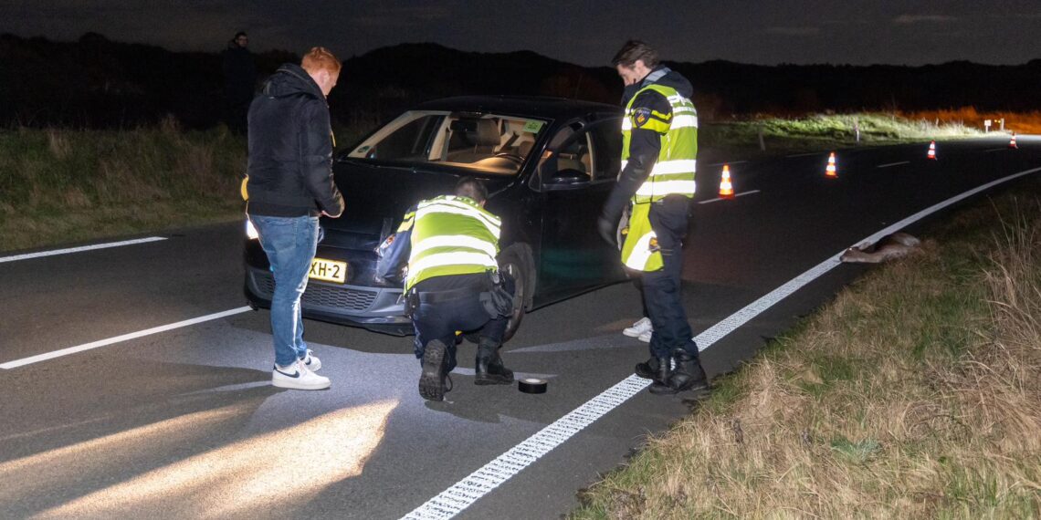 Hert afgeschoten na aanrijding op Zeeweg Overveen