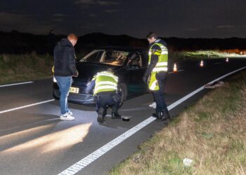Hert afgeschoten na aanrijding op Zeeweg Overveen