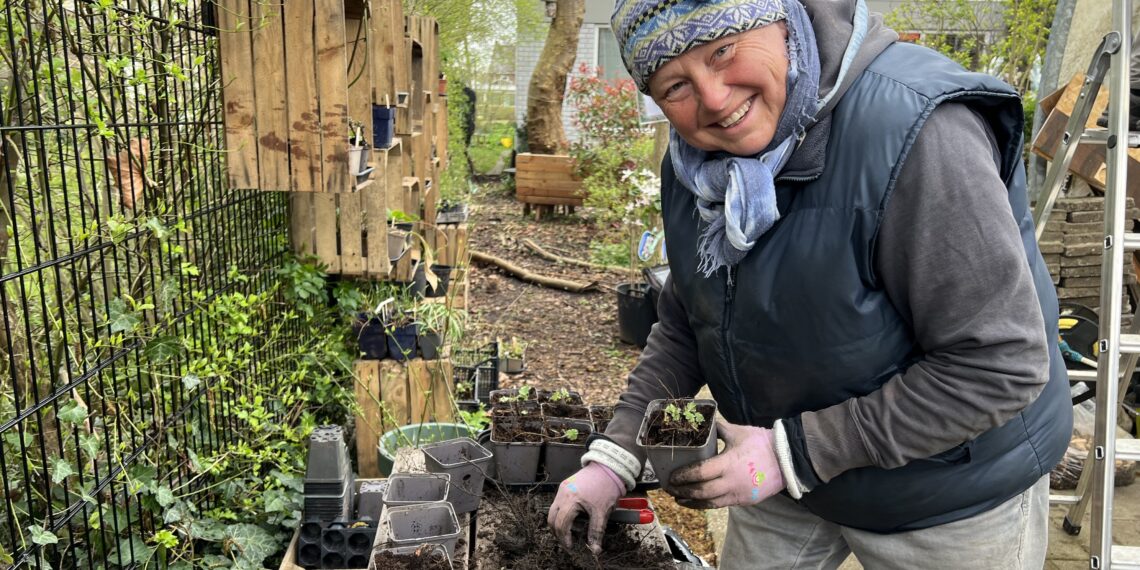 Vrijwilligers knappen tuin bibliotheek in Noord op: ‘Wordt oase in deze versteende wijk’