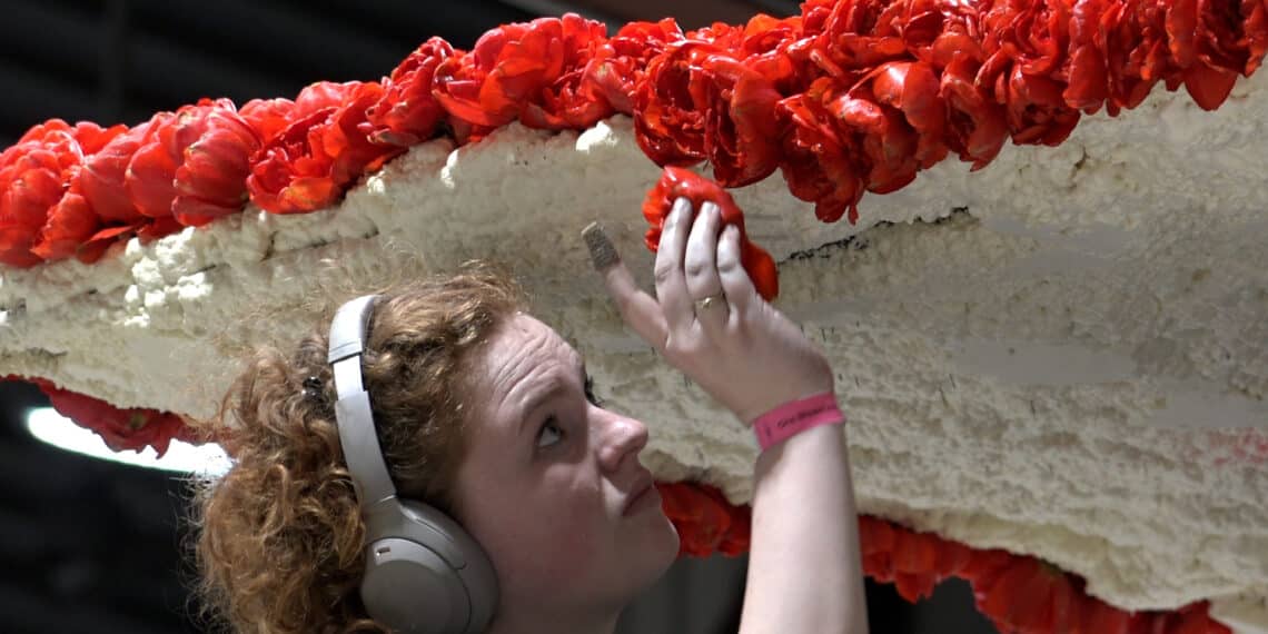 Bloemencorso dit jaar een uitdaging door weersomstandigheden: “Kwaliteit hyacinten een probleem”