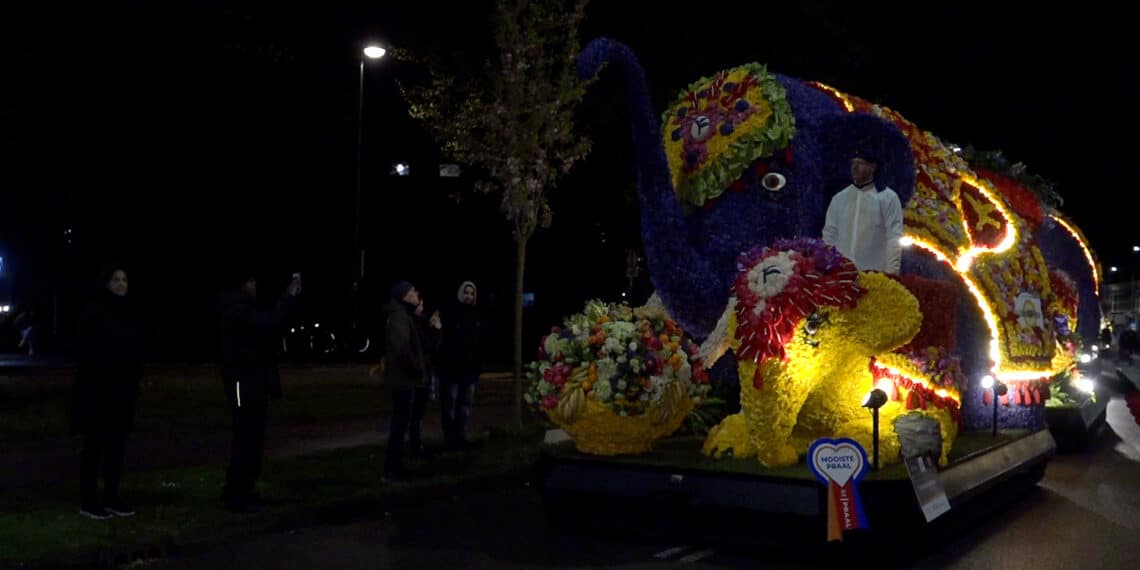 Kijk terug: Bloemencorso weekend in Haarlem