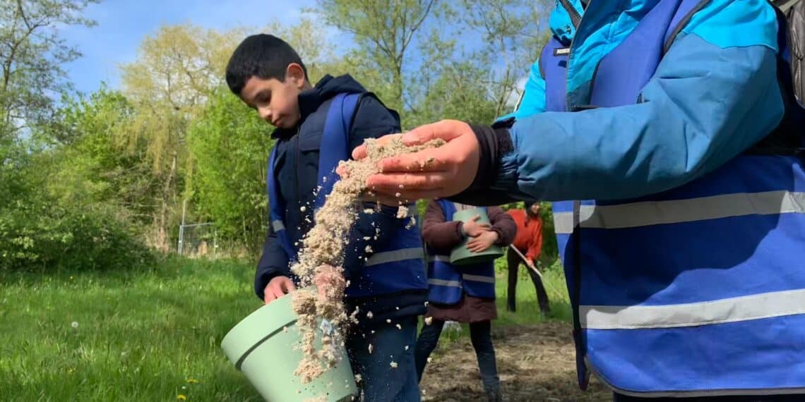 Zaaien voor de bijen bij het Oude Slot: “Zonder bijen geen aardbeien, appels, peren of cacao”