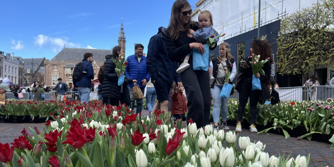 Tulpenpluktuin op de Grote Markt: “Stimuleren dat winkelend publiek naar binnenstad komt”