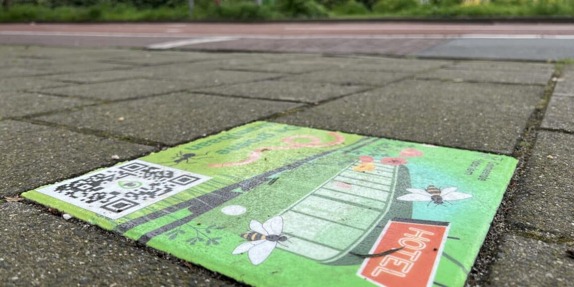 Nieuwe wandeling van de Eco Expeditie in Oost: “Zo spot je fossielen in Haarlem”