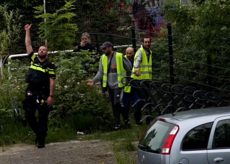 C0005.00_01_58_16.Still003