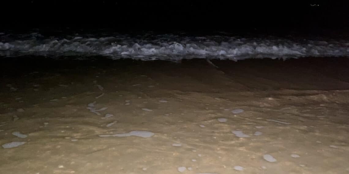 Vallende sterren kijken op het strand: “Heb er nog maar een gezien”