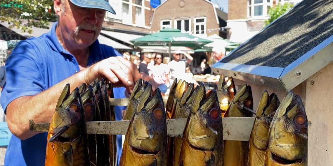 Kampioenschap makreel roken in Zandvoort: “Er hangen een paar hele mooie tussen”