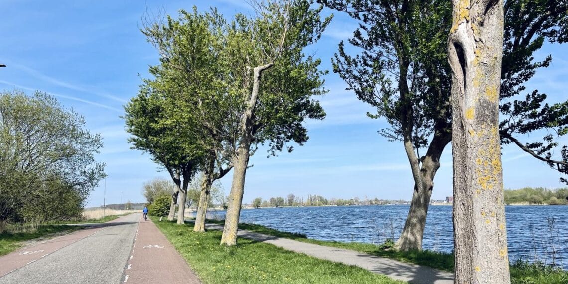 Noordelijk deel Spaarndamseweg zeven maanden dicht door werkzaamheden