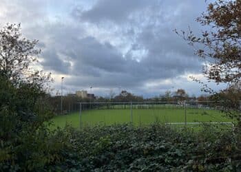 Twijfels bij nieuwbouwplan Reinaldapark: ‘Het gaat erom spannen of het voorstel het haalt’