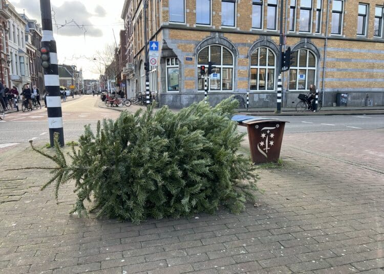 kerstboom op straat parklaan