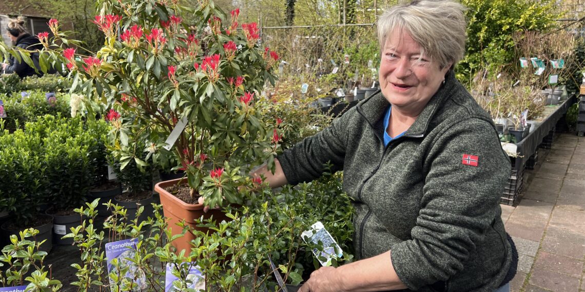 Tuincentrum Primavera dreigt te verdwijnen door nieuwbouw: ‘Huilende mensen aan de toonbank’