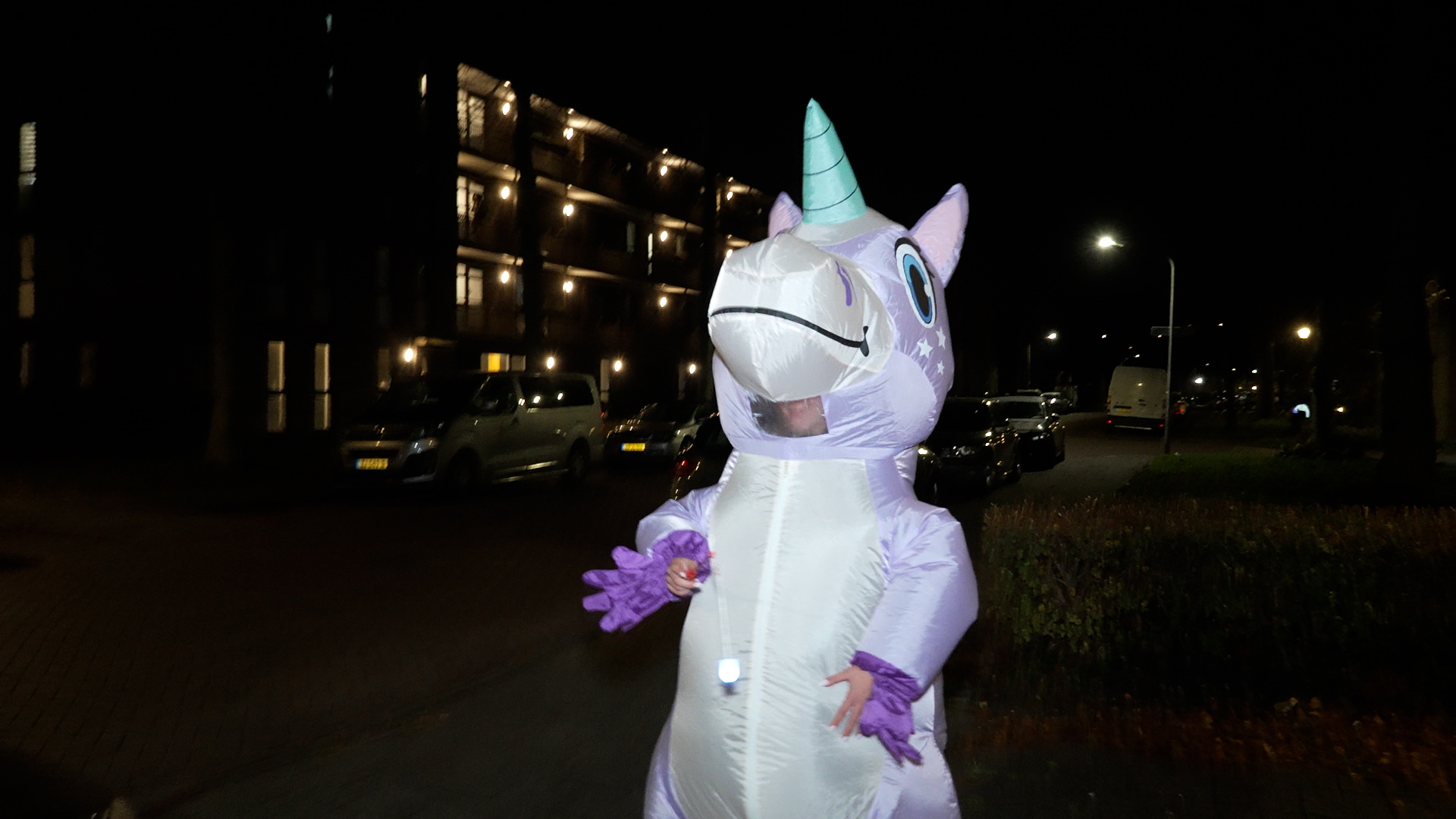 Kijken: Haarlemse straat viert Sint-Maarten met versierde tent, cadeautjes en caravan vol snoep