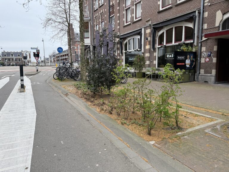 Duizenden euro's beschikbaar om buurt te vergroenen: 'Helpt tegen hitte, droogte en wateroverlast'