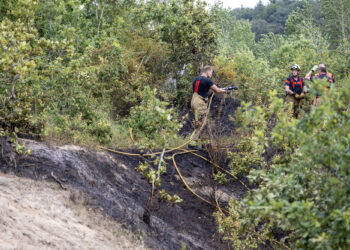 Grote brand in bosgebied bij Overveen snel onder controle