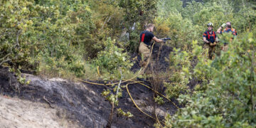 Grote brand in bosgebied bij Overveen snel onder controle
