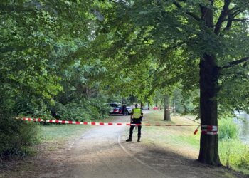 Man aangehouden na poging tot verkrachting in Haarlem