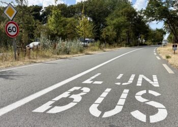 Bijna 10.000 reizigers met strandbus, maar het is onzeker of de bus na de proef blijft rijden