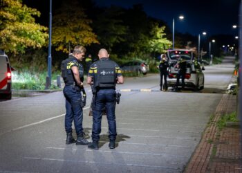 Politie doorzoekt Reinaldapark na tip over vuurwapen: niets gevonden