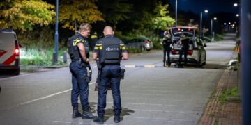 Politie doorzoekt Reinaldapark na tip over vuurwapen: niets gevonden